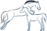 AGROKOMPLEKS